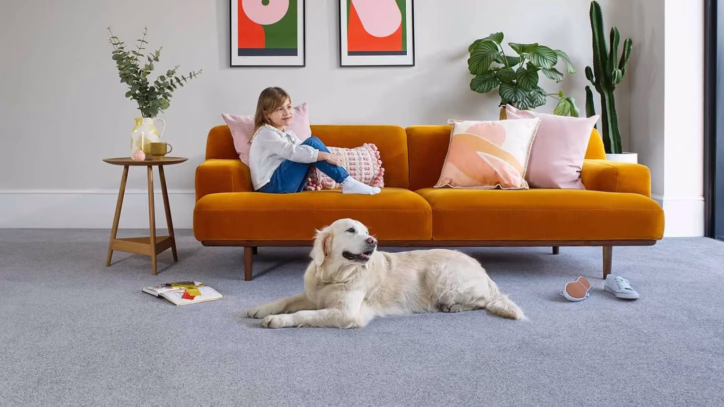 Child and dog on grey carpet in a family living room